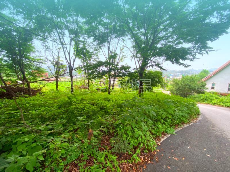 부산~철원까지 37번국도 90m 접근성 좋은  완경사 토지_9