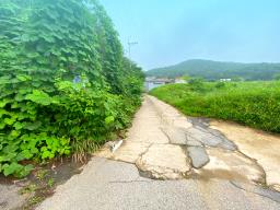 부산~철원까지 37번국도 90m 접근성 좋은  완경사 토지_썸네일_11