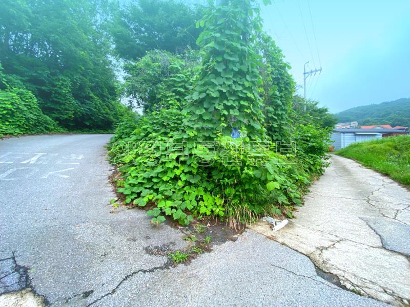 부산~철원까지 37번국도 90m 접근성 좋은  완경사 토지_12