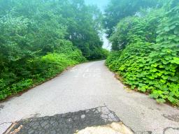 부산~철원까지 37번국도 90m 접근성 좋은  완경사 토지_썸네일_13