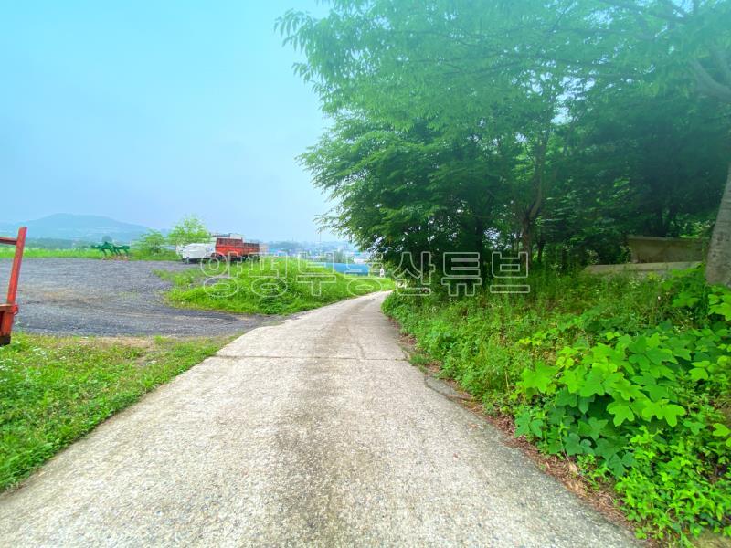 부산~철원까지 37번국도 90m 접근성 좋은  완경사 토지_15