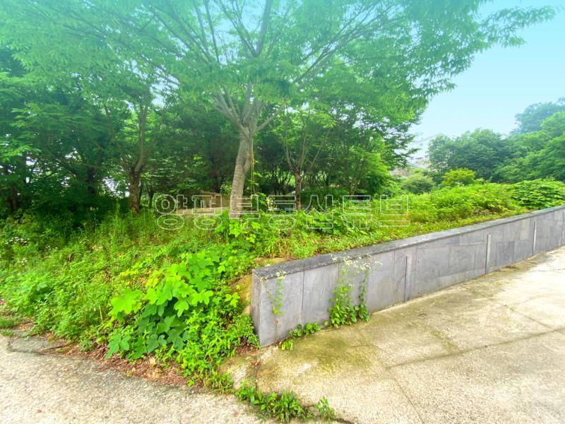 부산~철원까지 37번국도 90m 접근성 좋은  완경사 토지_16