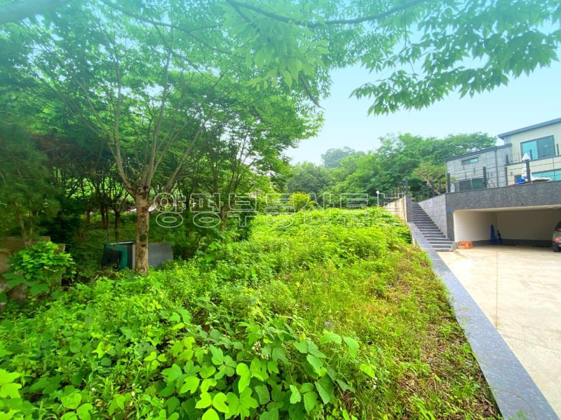 부산~철원까지 37번국도 90m 접근성 좋은  완경사 토지_17
