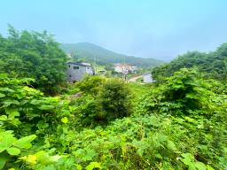 부산~철원까지 37번국도 90m 접근성 좋은  완경사 토지_썸네일_20