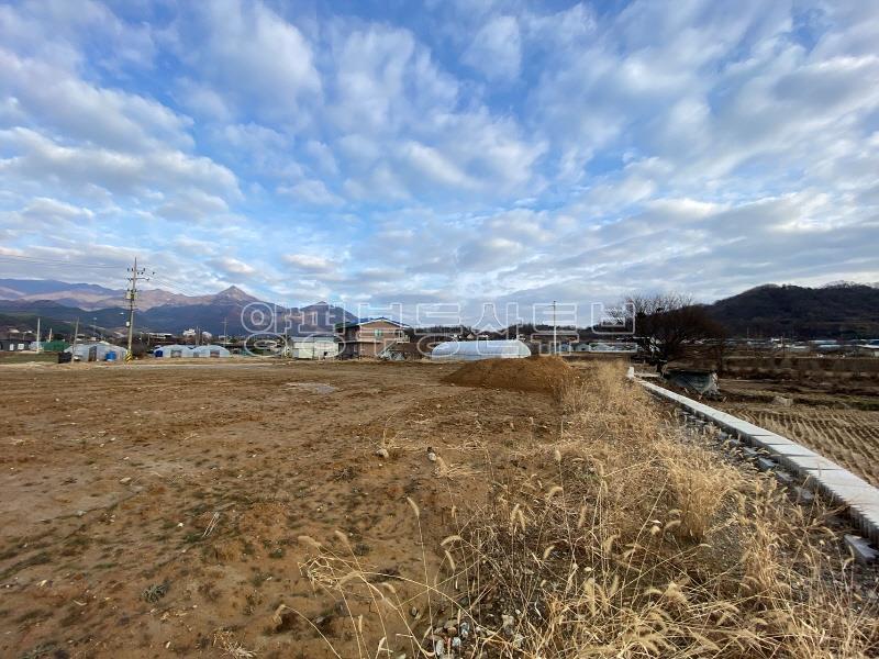 옥천시내 근거리에 있는 국유지 도로 접한 농림지역내 넓은 토지_15