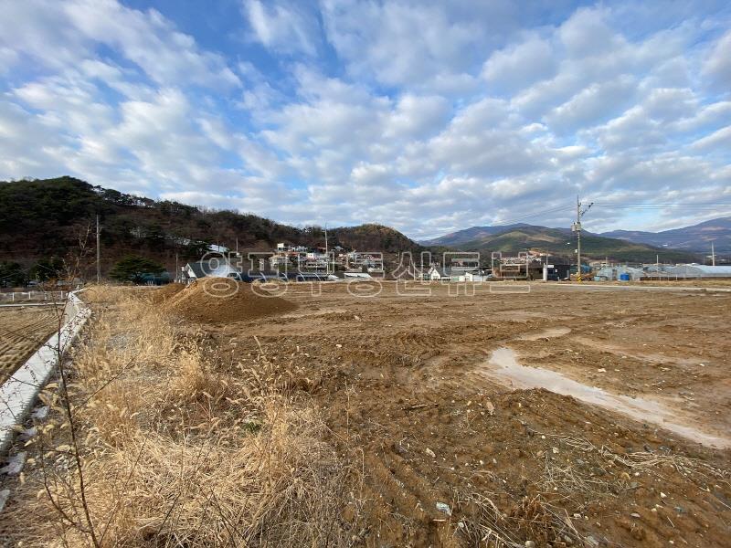 옥천시내 근거리에 있는 국유지 도로 접한 농림지역내 넓은 토지_18