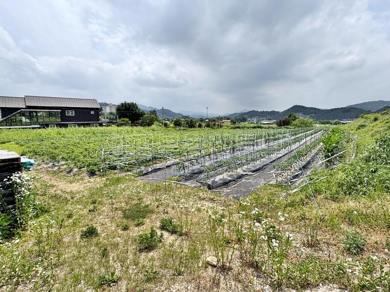 백운봉 아래 자리한 마을 주변에 농림지역 넓은 땅(전)_3