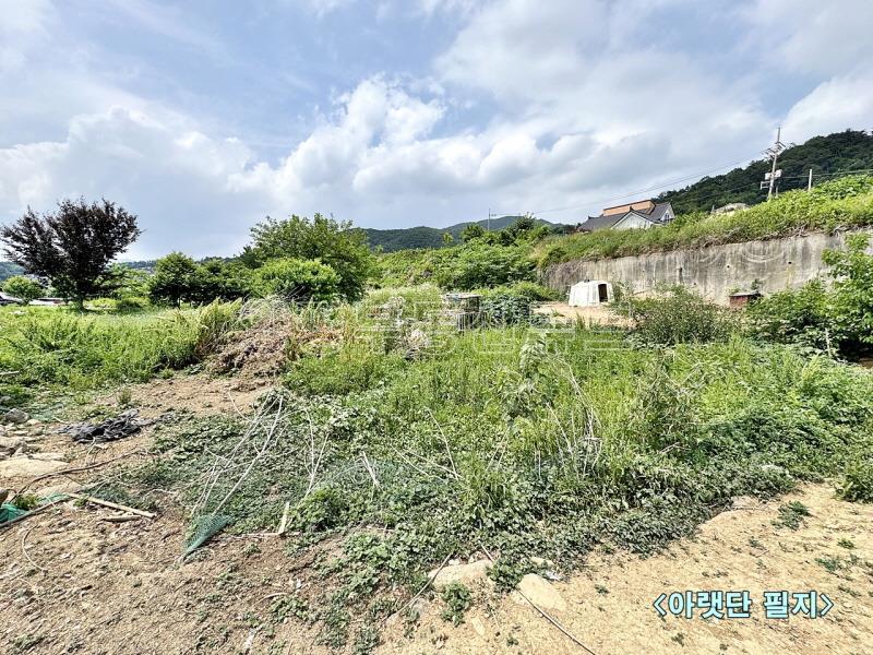 백운봉 아래 자리한 마을 주변에 농림지역 넓은 땅(전)_15