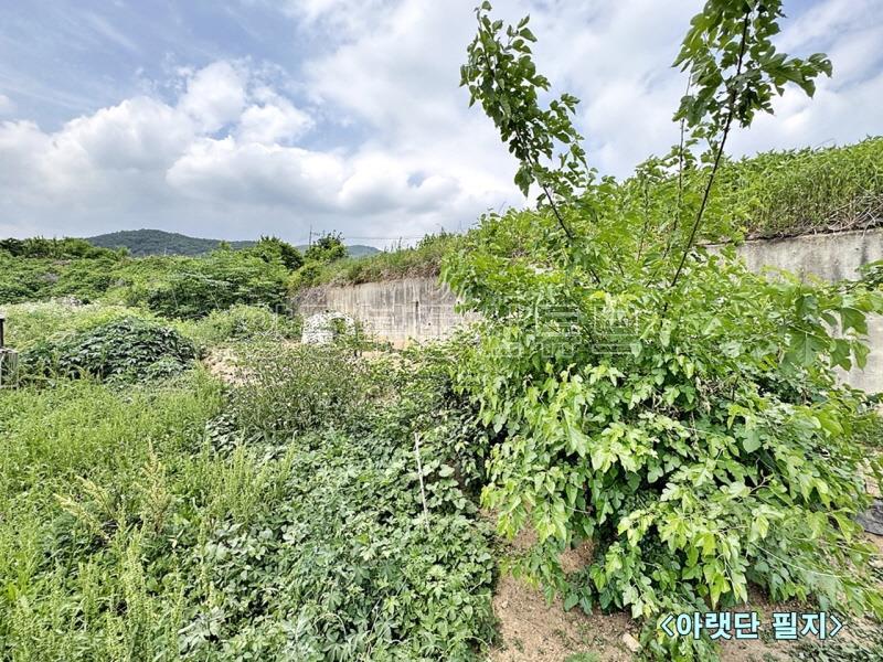 백운봉 아래 자리한 마을 주변에 농림지역 넓은 땅(전)_18