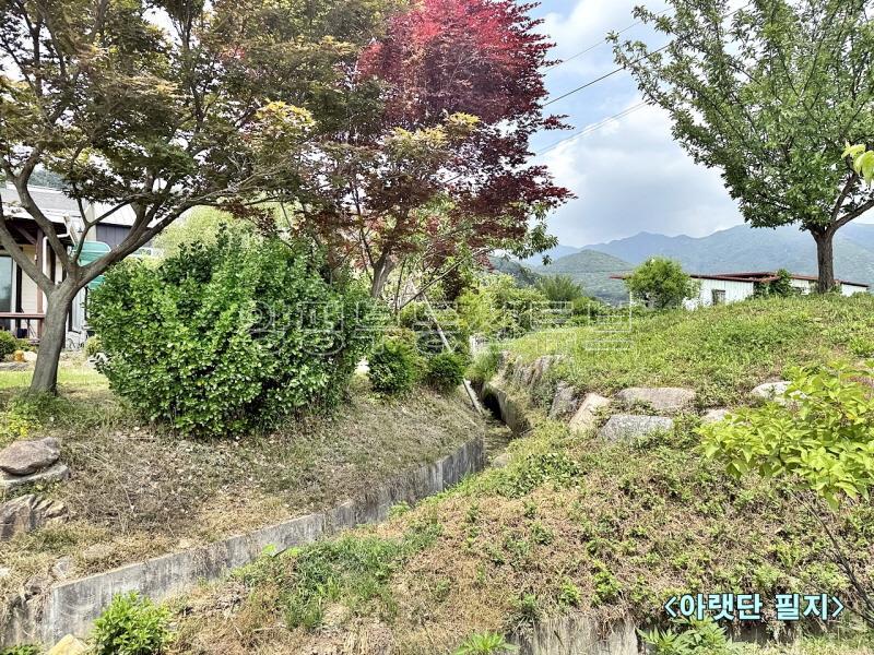 백운봉 아래 자리한 마을 주변에 농림지역 넓은 땅(전)_22