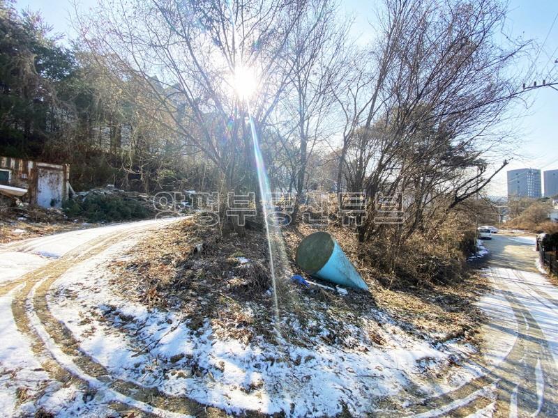 남한강을 바라볼 수 있으며, 2차선 도로 접근성 좋은 대지 277평 매매_19