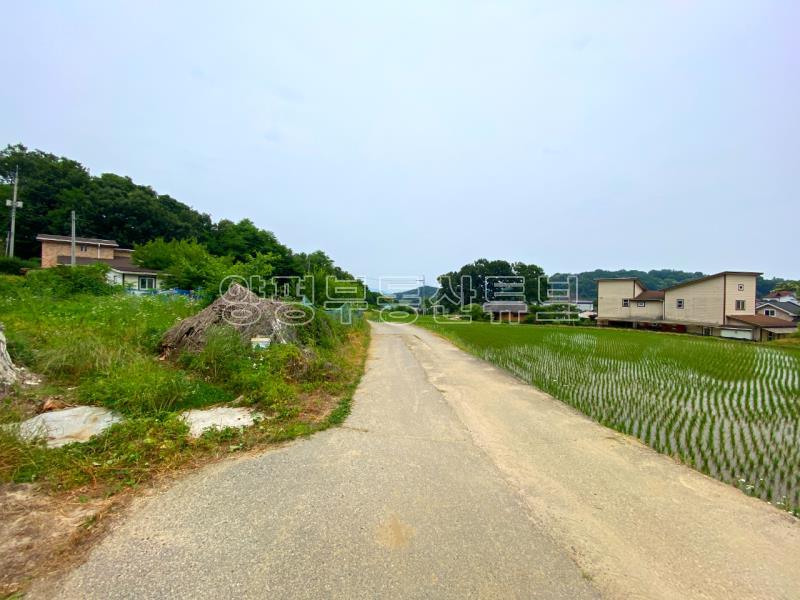 계획관리지역내에 있는 넓은 땅 2차선 접근성 좋은 토지_10