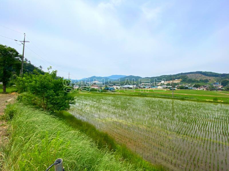 송파~양평간 고속도로 강하IC 근거리에 있는 넓은 평수의 토지(답)_8
