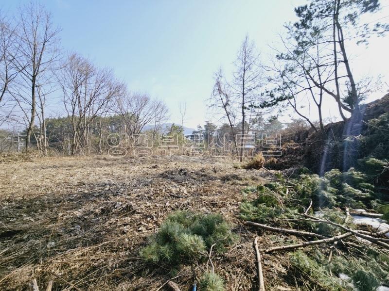 송파~양평간 고속도로 강하IC 근거리에 있는 넓은 평수의 전원주택지_10
