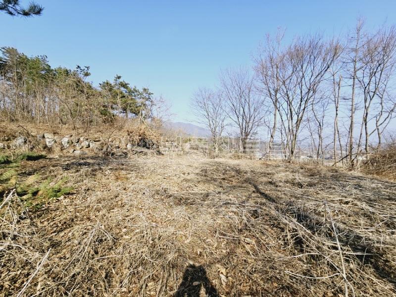 송파~양평간 고속도로 강하IC 근거리에 있는 넓은 평수의 전원주택지_18