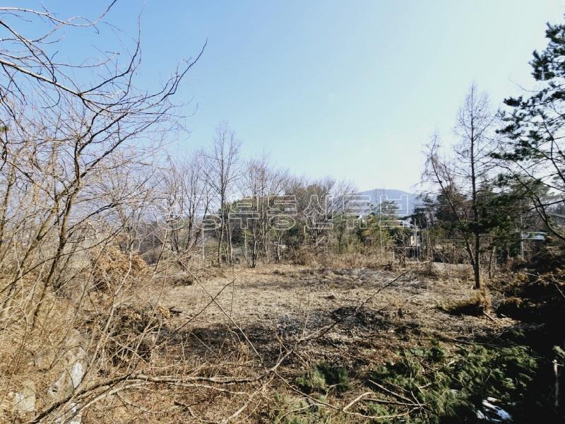 송파~양평간 고속도로 강하IC 근거리에 있는 넓은 평수의 전원주택지_22