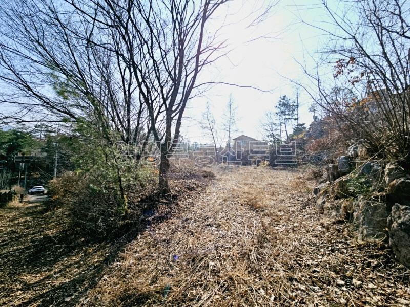 송파~양평간 고속도로 강하IC 근거리에 있는 넓은 평수의 전원주택지_23