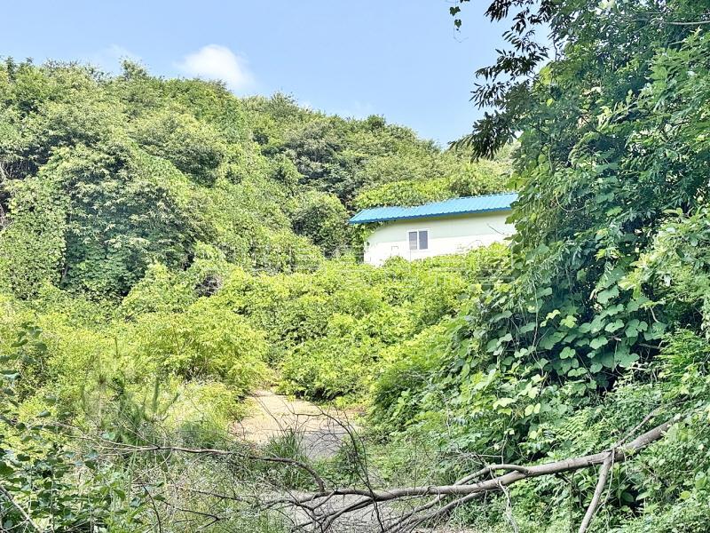 옥천면 신복리 전망이 틔여 있고, 창고 3동 있는 농림지역 포함되어 있는 6천여평 토지 매_8