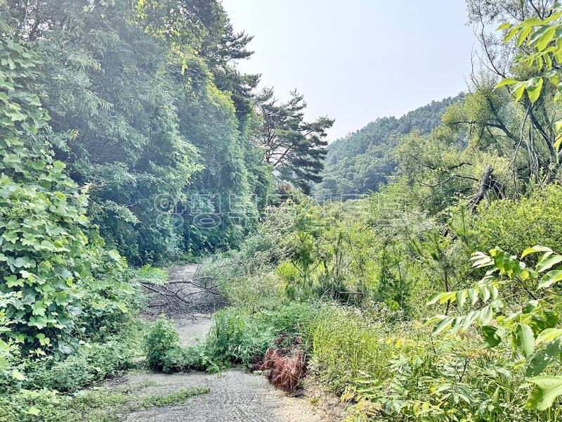 옥천면 신복리 전망이 틔여 있고, 창고 3동 있는 농림지역 포함되어 있는 6천여평 토지 매_10
