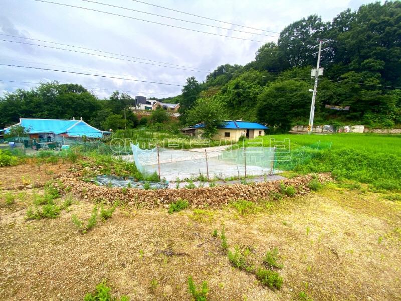 2차선 도로 접근성 좋으며 강하초등학교 편의시설 이용 편리한 계획관리지역 내 토지_15
