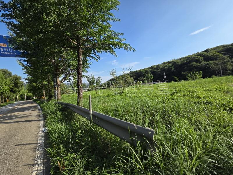 용문산관광단지 2차선 중심도로변에 있는 784평의 넓은 땅_6