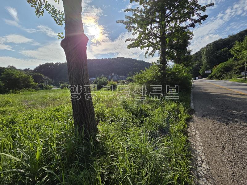 용문산관광단지 2차선 중심도로변에 있는 784평의 넓은 땅_7