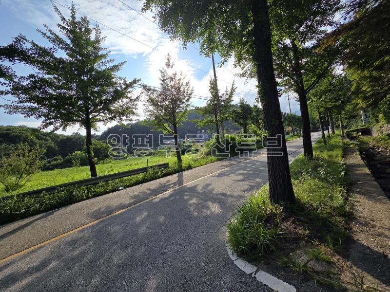 용문산관광단지 2차선 중심도로변에 있는 784평의 넓은 땅_10