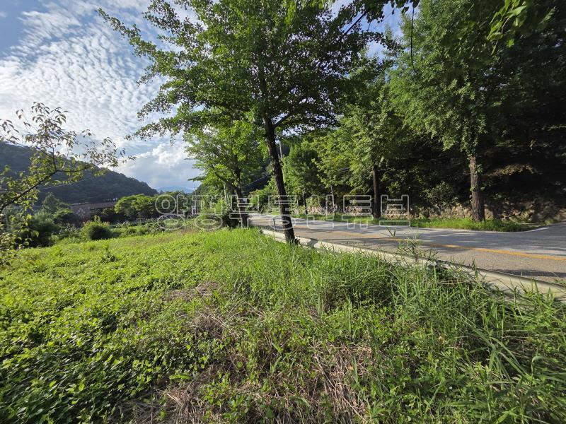 용문산관광단지 2차선 중심도로변에 있는 784평의 넓은 땅_15