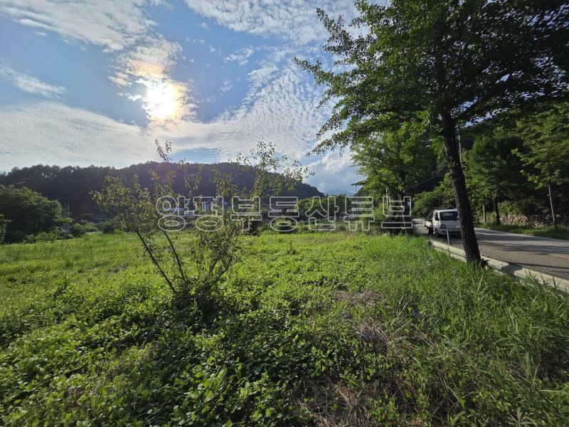 용문산관광단지 2차선 중심도로변에 있는 784평의 넓은 땅_22
