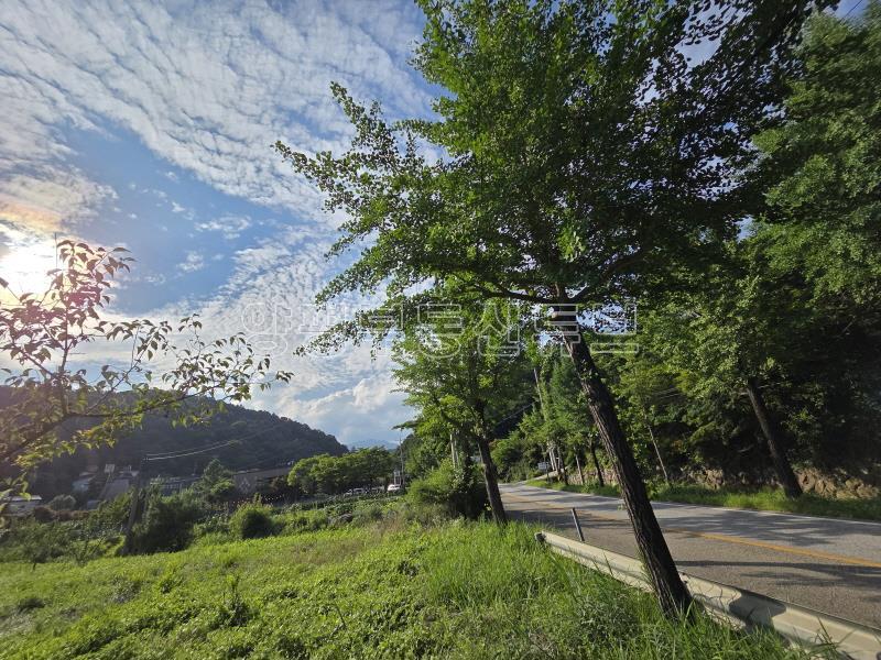 용문산관광단지 2차선 중심도로변에 있는 784평의 넓은 땅_18