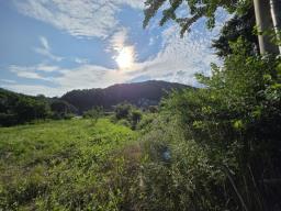용문산관광단지 2차선 중심도로변에 있는 784평의 넓은 땅_썸네일_21