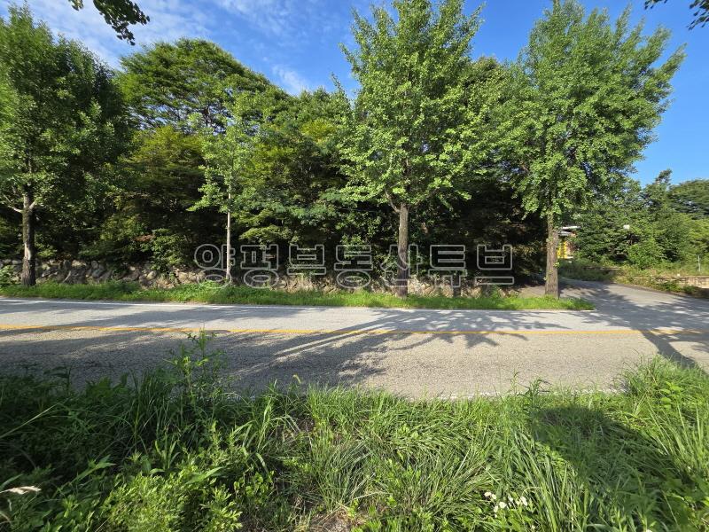 용문산관광단지 2차선 중심도로변에 있는 784평의 넓은 땅_23