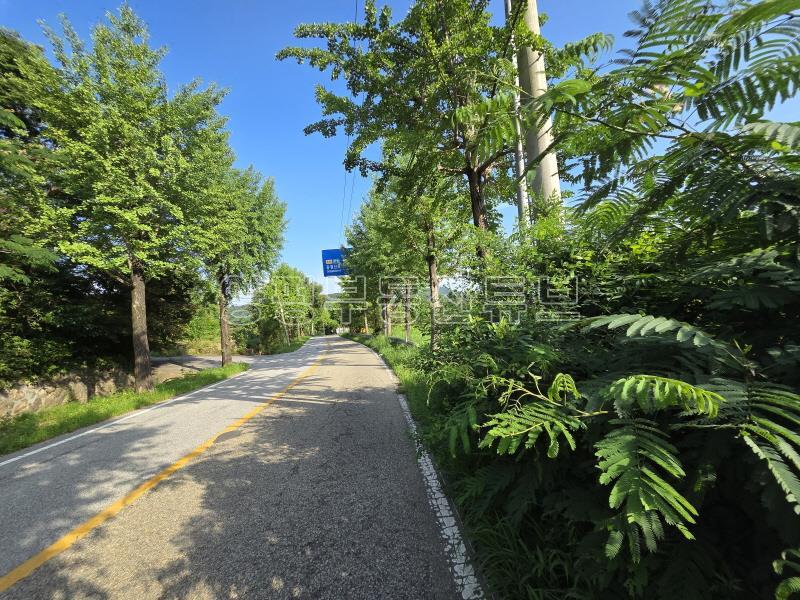 용문산관광단지 2차선 중심도로변에 있는 784평의 넓은 땅_25