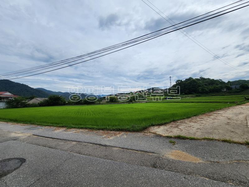 6번국도 접근성 좋은 도시지역 자연녹지 지역내 넓은 토지_2