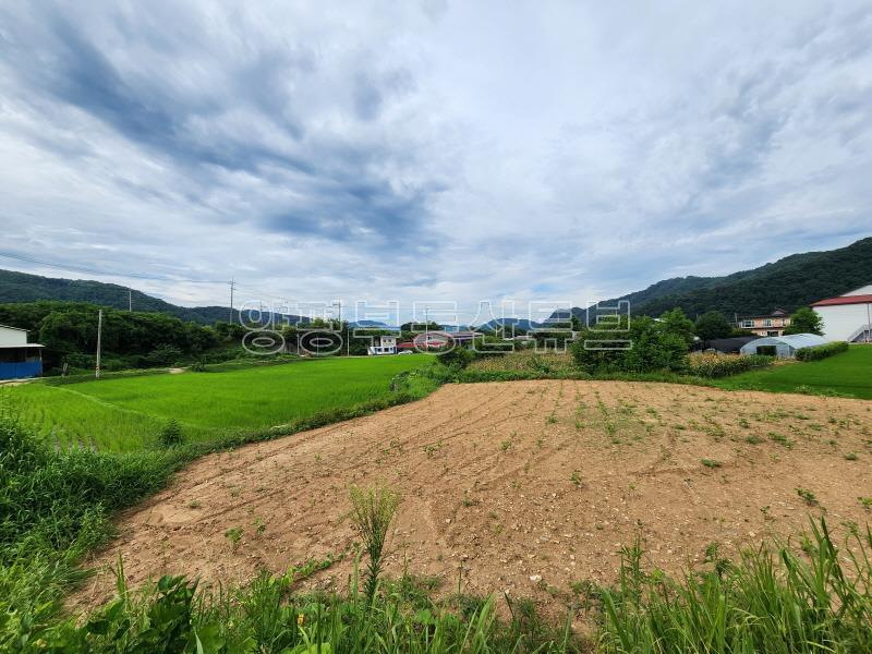 6번국도 접근성 좋은 도시지역 자연녹지 지역내 넓은 토지_24