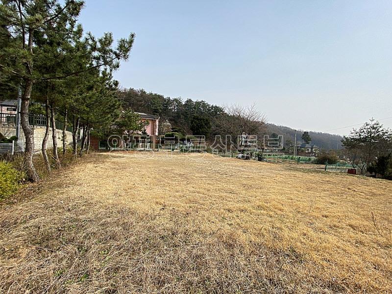 백운봉 아래 물맑고 공기 좋은 사나사 계곡 인근에 있는 계획관리지역내 토지_8