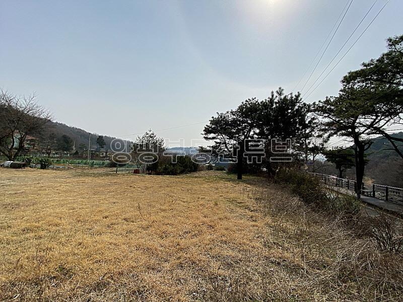 백운봉 아래 물맑고 공기 좋은 사나사 계곡 인근에 있는 계획관리지역내 토지_9