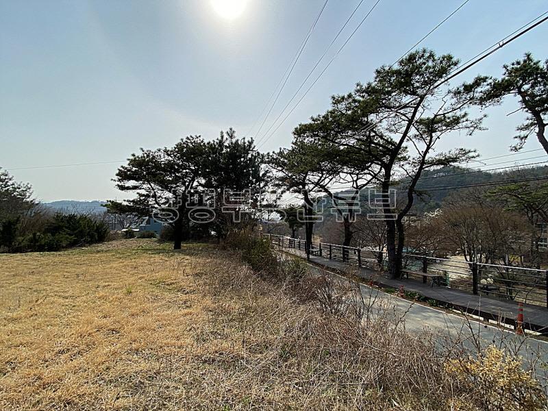 백운봉 아래 물맑고 공기 좋은 사나사 계곡 인근에 있는 계획관리지역내 토지_10