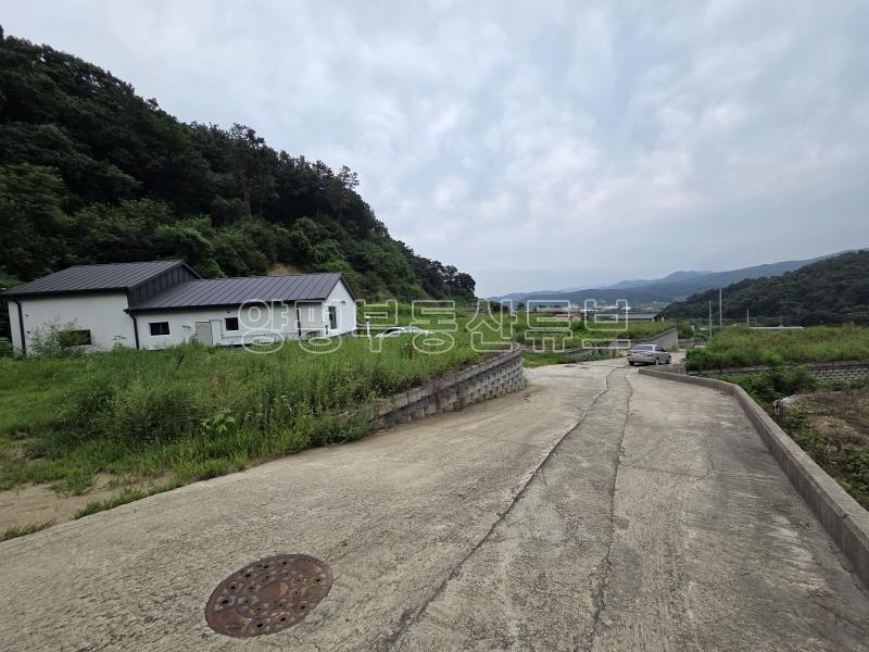37국도 접근성 좋으며, 여주 출퇴근 가능한 토목완료한 토지_24