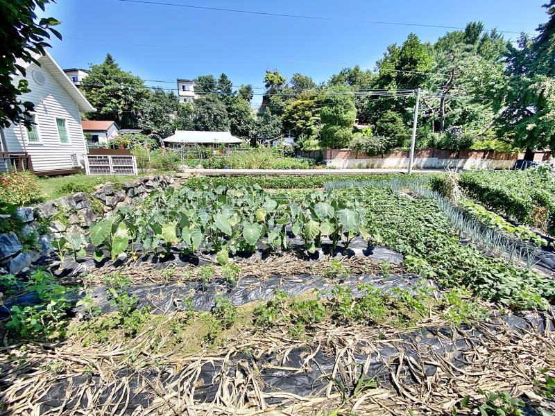 세월초등학교 인근 평당 80만원대 급매물 토지 매매_11