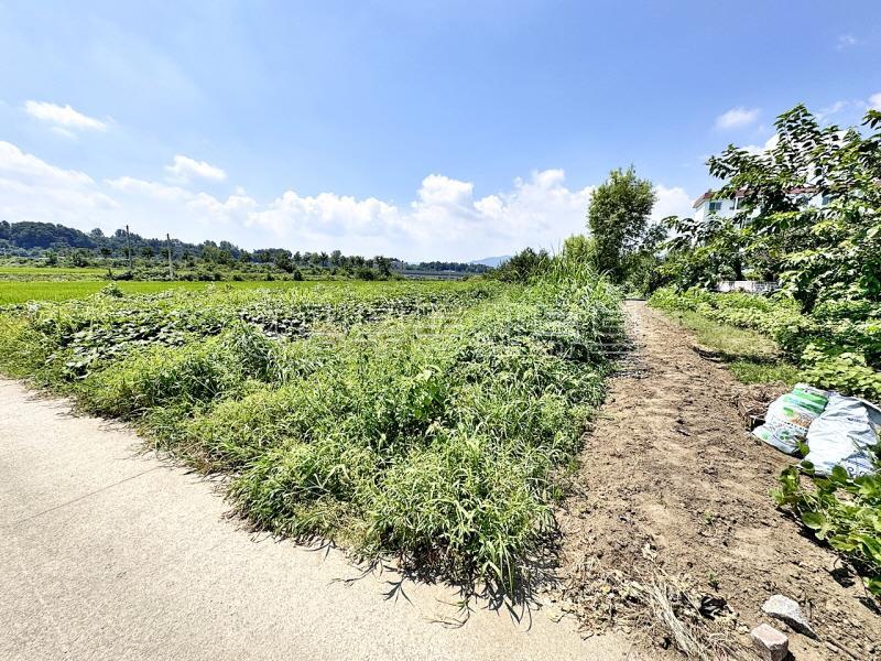 양평동초등학교 인근 도시지역 자연녹지지역 내 넓은 토지_11