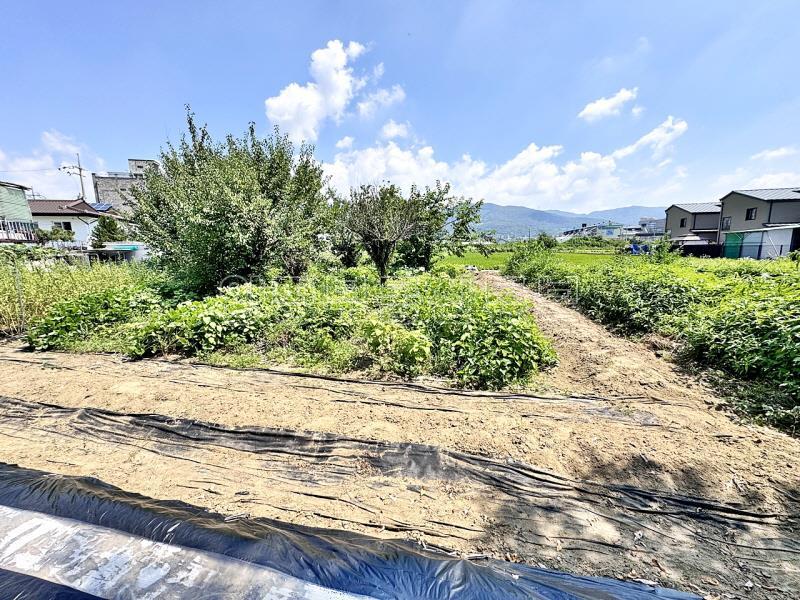 양평동초등학교 인근 도시지역 자연녹지지역 내 넓은 토지_17