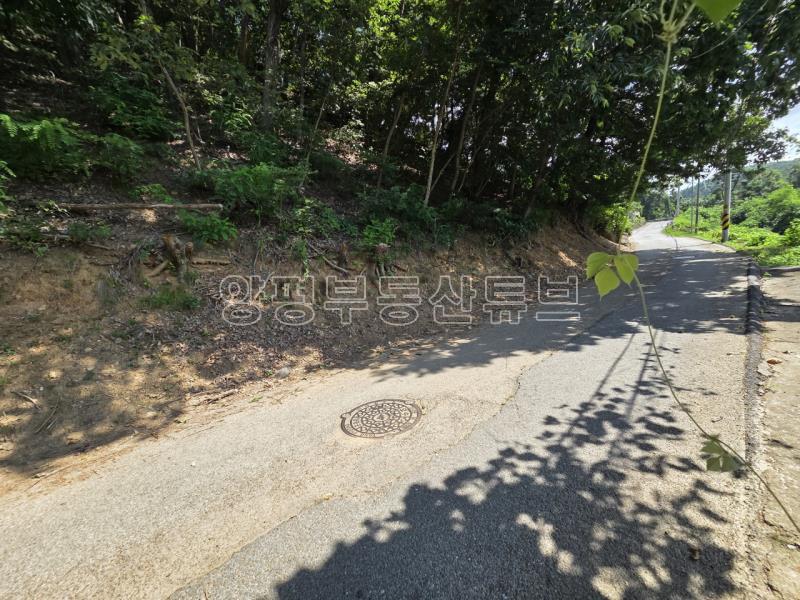 한적하고 조용한 입지에 탁트인 전망 좋은 저렴한 토지매매_19