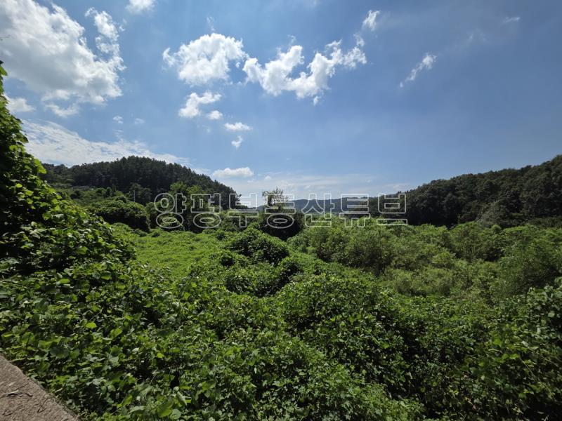 한적하고 조용한 입지에 탁트인 전망 좋은 저렴한 토지매매_22