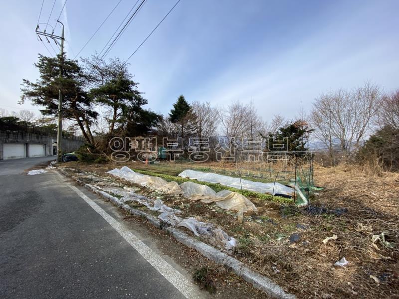 운심리 전망 좋은 곳에  필지 분할되어 있는 1000평대 넓은 토지_8