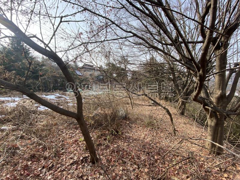 운심리 전망 좋은 곳에  필지 분할되어 있는 1000평대 넓은 토지_12