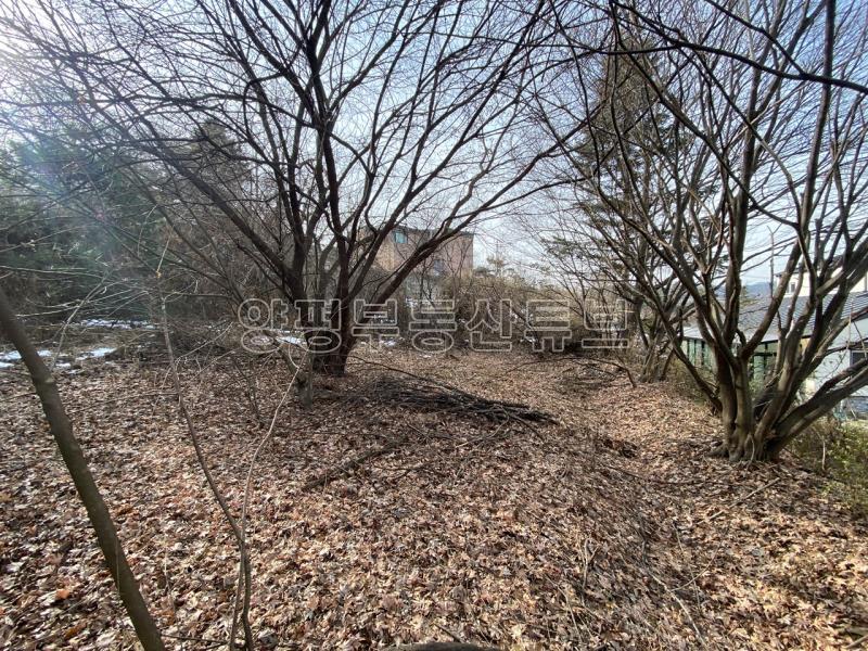 운심리 전망 좋은 곳에  필지 분할되어 있는 1000평대 넓은 토지_18