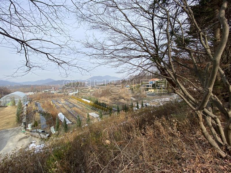 운심리 전망 좋은 곳에  필지 분할되어 있는 1000평대 넓은 토지_19