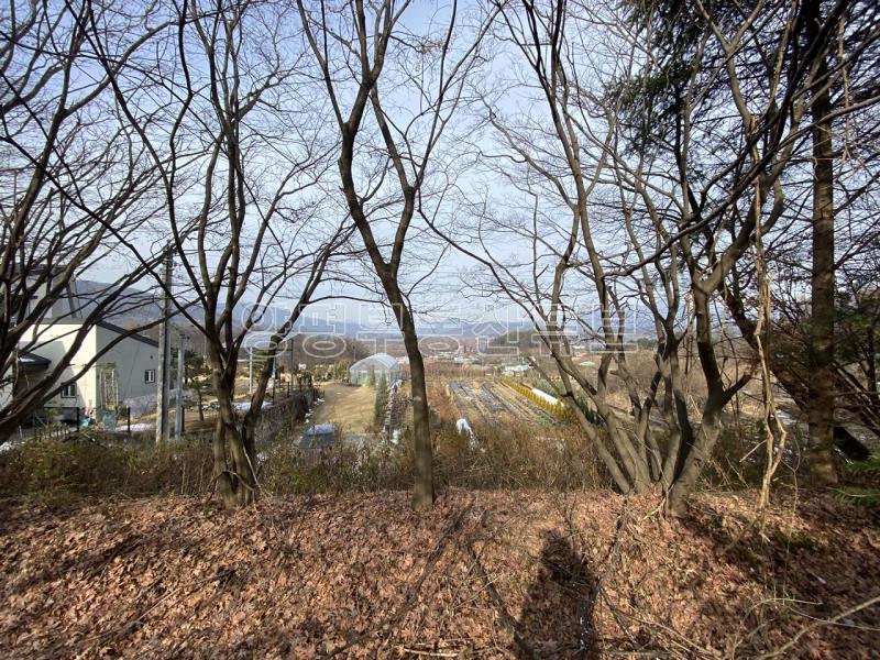 운심리 전망 좋은 곳에  필지 분할되어 있는 1000평대 넓은 토지_20