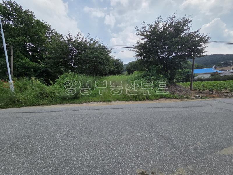 6번국도 접근성 좋은 벗나무가 많은 넓은 토지_2